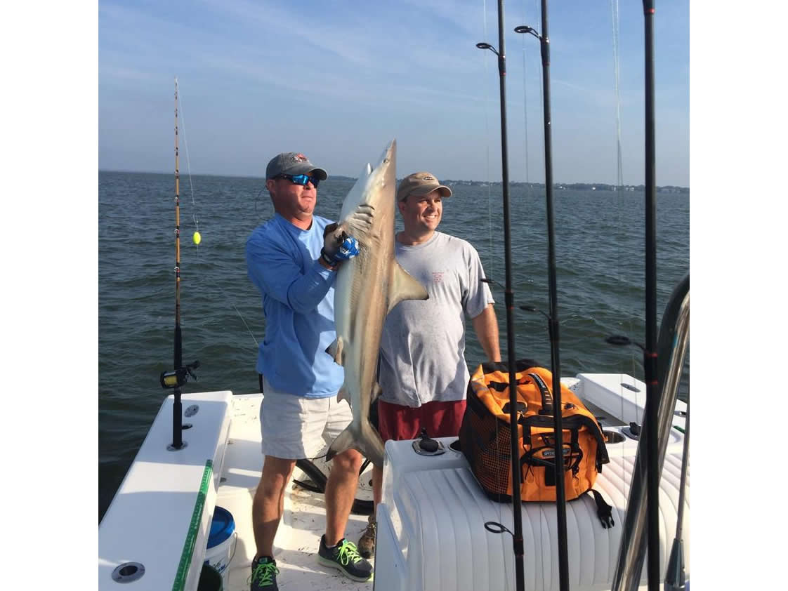 Island Lure Charters Portfolio Image