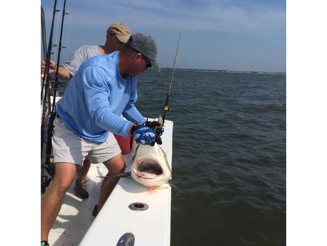 Island Lure Charters Portfolio Image