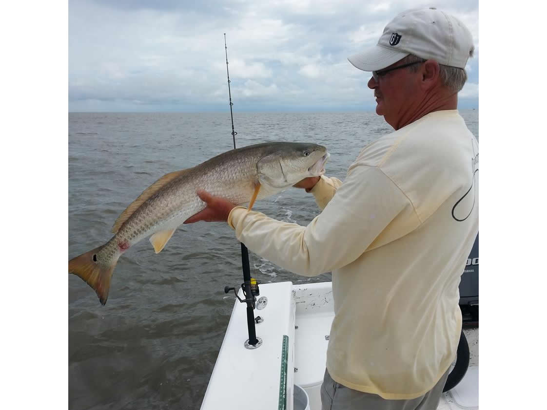 Island Lure Charters Portfolio Image