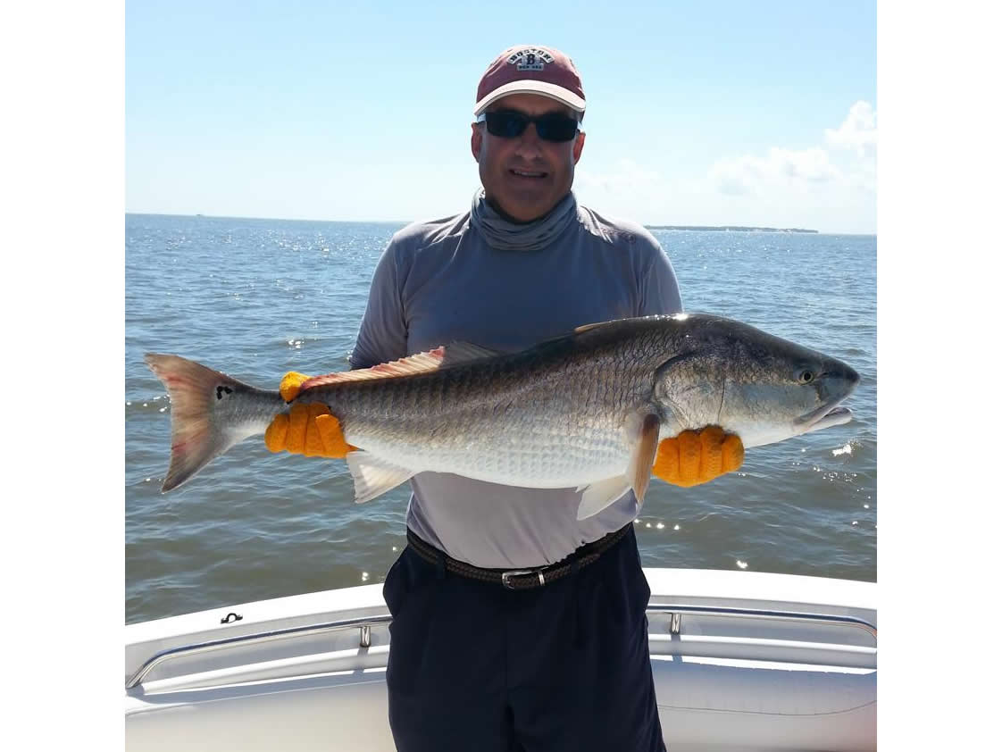 Island Lure Charters Portfolio Image