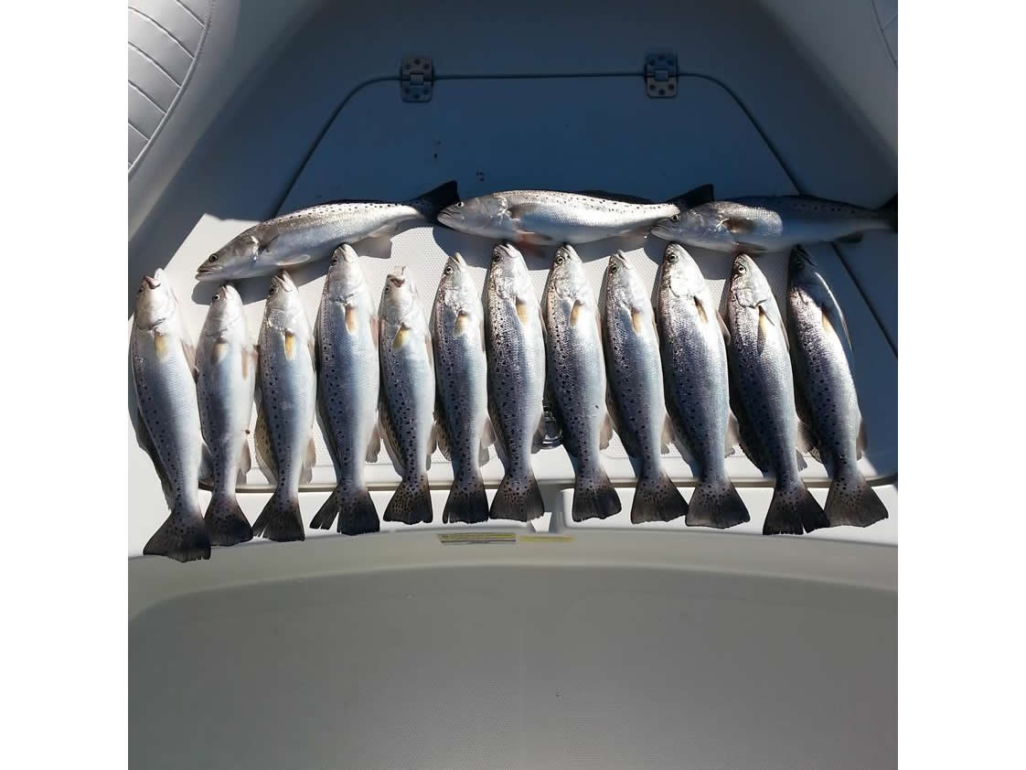 Island Lure Charters Portfolio Image