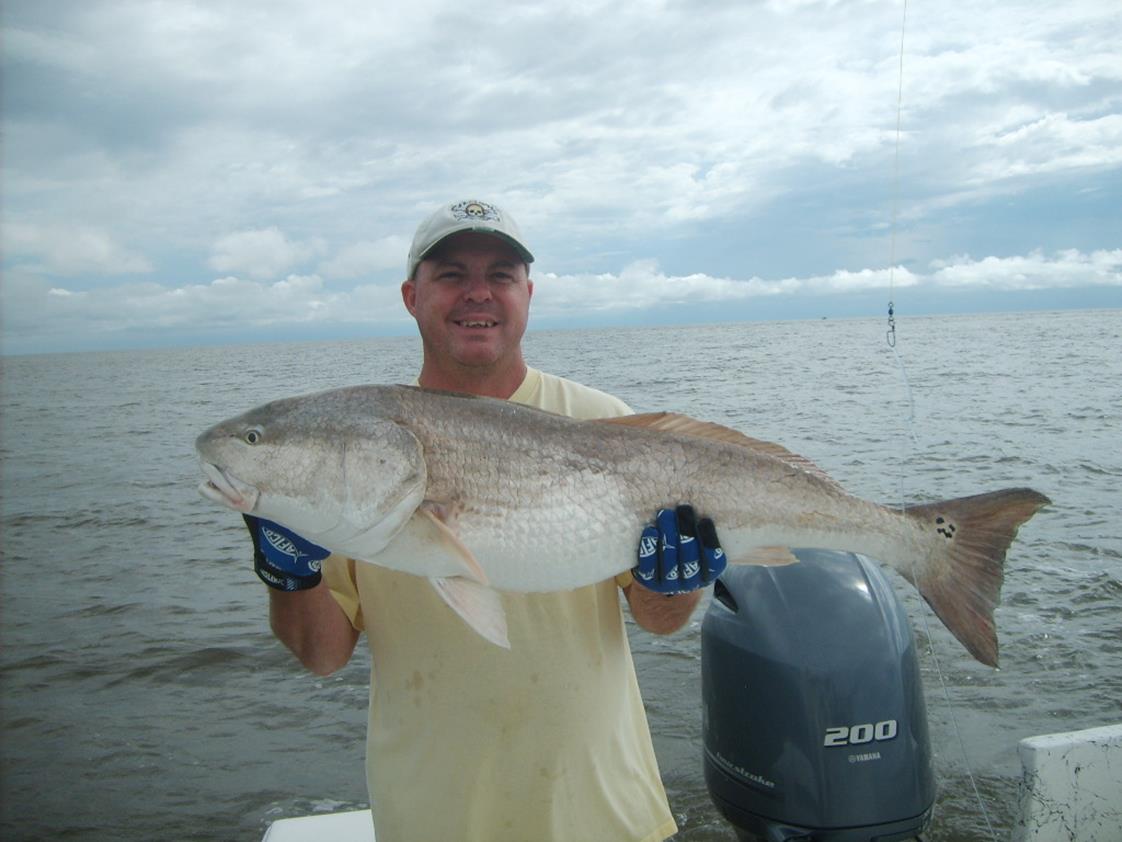 Island Lure Charters Portfolio Image
