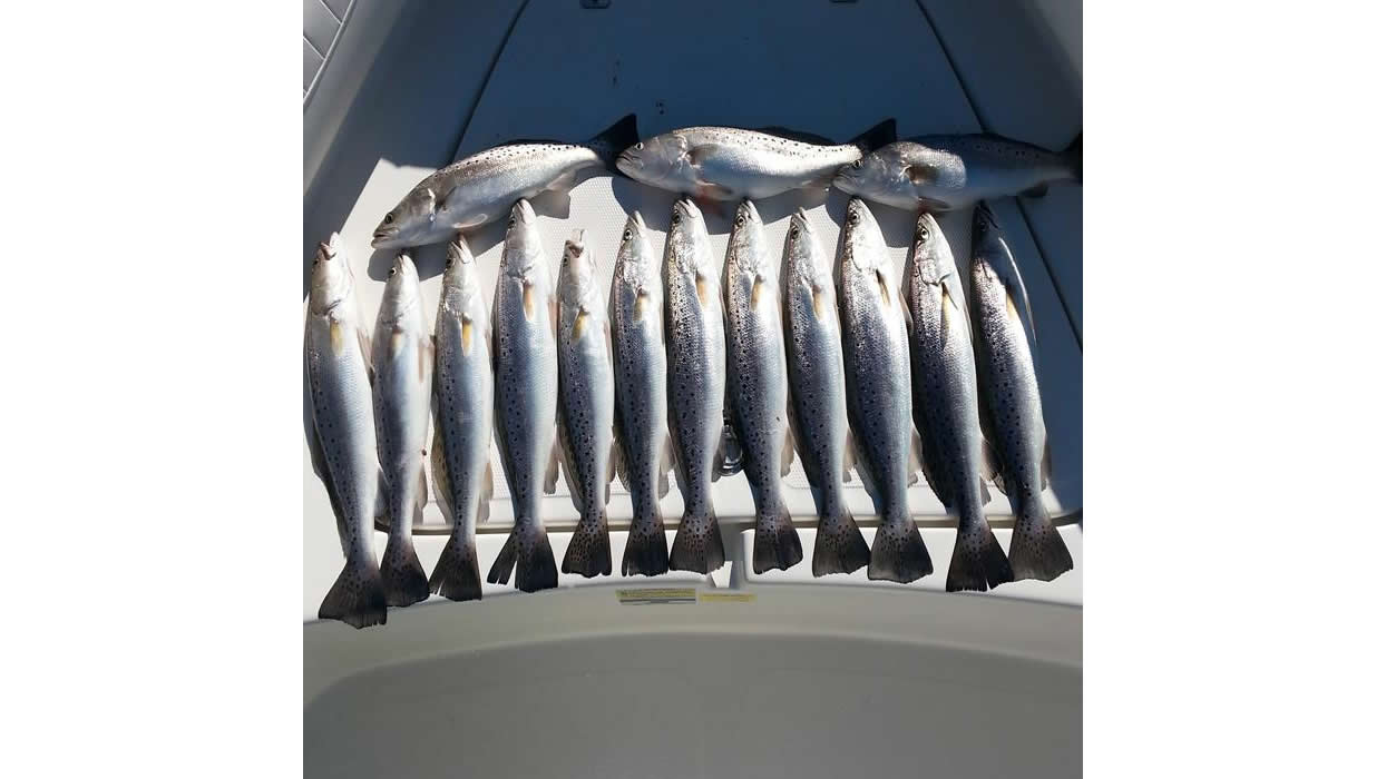 Island Lure Charters Portfolio Image