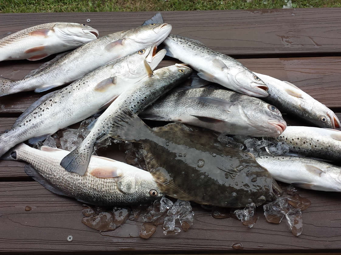 Island Lure Charters Portfolio Image
